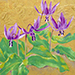 Eri Kaneko Gallery